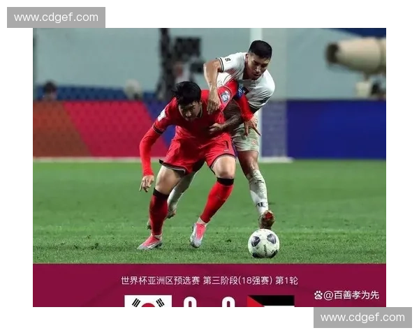 美洲劲旅美加墨世界杯对阵形势及盘口深度解析